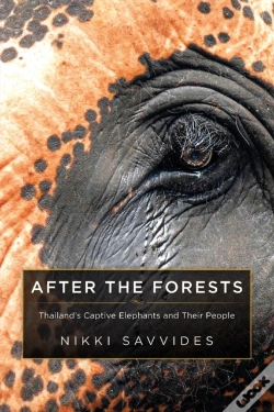 Capa do artigo After The Forests