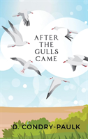 After The Gulls Came - Preview