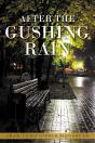 After The Gushing Rain - Preview