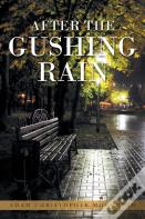 After The Gushing Rain