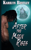 After The Moon Rises