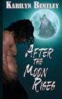 After The Moon Rises - Preview