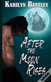 After The Moon Rises