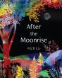 After The Moonrise - Preview