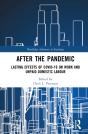 After The Pandemic - Preview