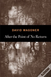 Capa do artigo After The Point Of No Return