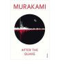 After The Quake - Preview