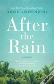 Capa do artigo After The Rain