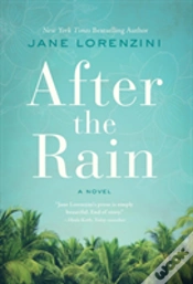 Capa do artigo After The Rain