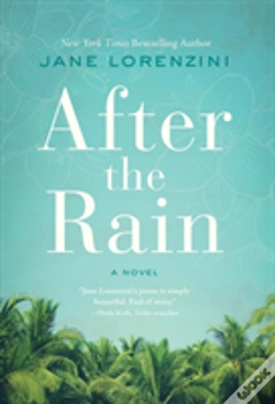Capa do artigo After The Rain
