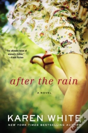 Capa do artigo After The Rain