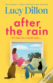 Capa do artigo After The Rain