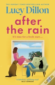 Capa do artigo After The Rain