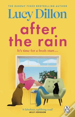 Capa do artigo After The Rain