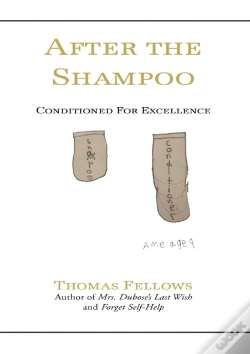 Capa do artigo After The Shampoo: Conditioned For Excel