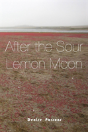 After The Sour Lemon Moon - Preview