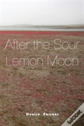 After The Sour Lemon Moon