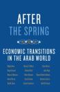After The Spring - Preview