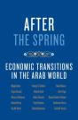 After The Spring - Preview