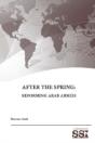 After The Spring: Reforming Arab Armies - Preview