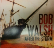 Capa do artigo After The Storm - CD