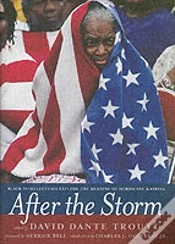 Capa do artigo After The Storm