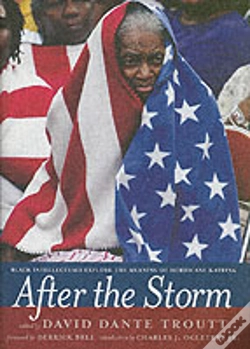 Capa do artigo After The Storm
