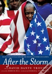 Capa do artigo After The Storm