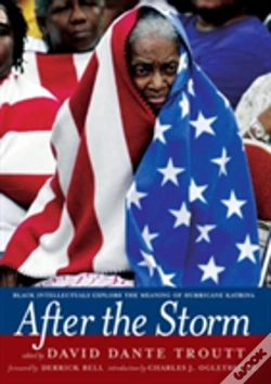 Capa do artigo After The Storm