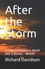 After The Storm - Preview