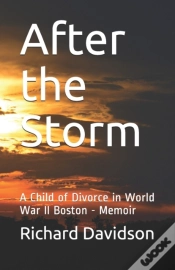 Capa do artigo After The Storm