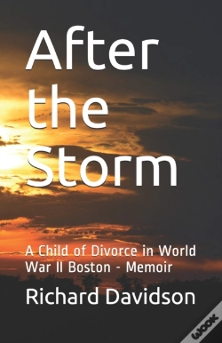 Capa do artigo After The Storm