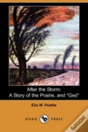 Capa do artigo After The Storm