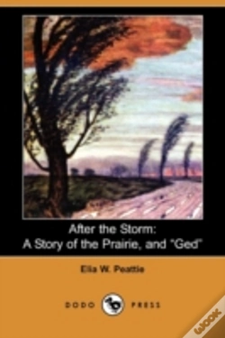 Capa do artigo After The Storm