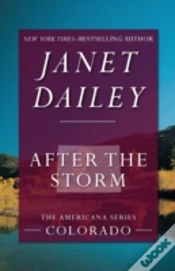 Capa do artigo After The Storm