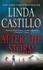 After The Storm - Preview