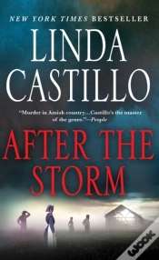 Capa do artigo After The Storm