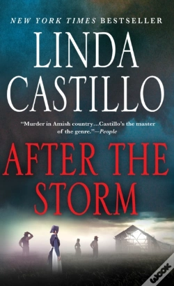 Capa do artigo After The Storm