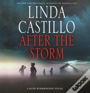 Capa do artigo After The Storm