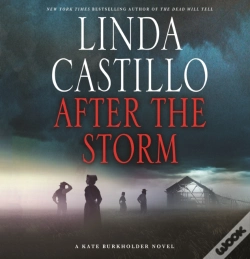 Capa do artigo After The Storm