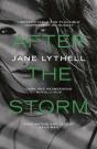 After The Storm - Preview