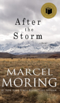 After The Storm - Preview