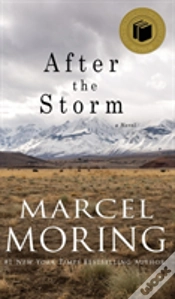 Capa do artigo After The Storm
