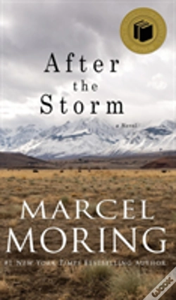 Capa do artigo After The Storm