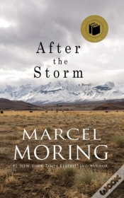 Capa do artigo After The Storm