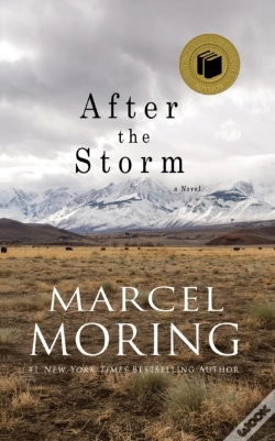 Capa do artigo After The Storm