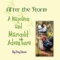 After The Storm - Preview