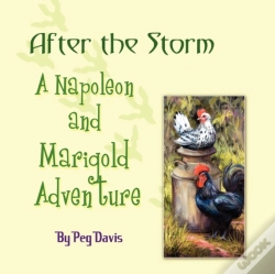 Capa do artigo After The Storm