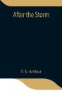 After The Storm - Preview