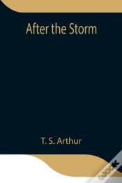 Capa do artigo After The Storm